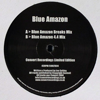 Blue Amazon - The Lights Go Out