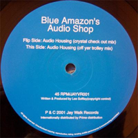 Blue Amazon's Audio Shop - Audio Housing
