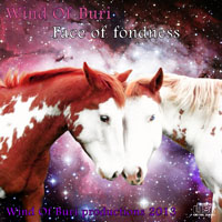 Wind Of Buri - Main Series Mixes (CD 06: Face Of Fondness)