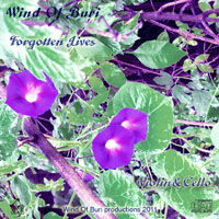 Wind Of Buri - Main Series Mixes (CD 09: Forgotten Lives [Violin & Cello])