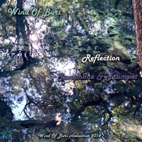 Wind Of Buri - Main Series Mixes (CD 13: Reflection [Saxophone & Trumpet])