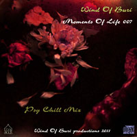 Wind Of Buri - Moments Of Life, Vol. 007: Psy Chill Mix (CD 2)