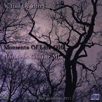 Wind Of Buri - Moments Of Life, Vol. 016: Ambient - Guitar Mix (CD 2)