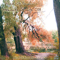 Wind Of Buri - Moments Of Life, Vol. 018: Ambient Mix (CD 1)
