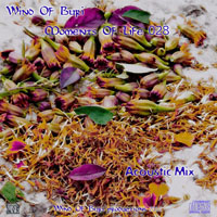 Wind Of Buri - Moments Of Life, Vol. 028: Acoustic Mix (CD 2)