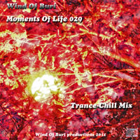 Wind Of Buri - Moments Of Life, Vol. 029: Trance - Chill Mix (CD 2)