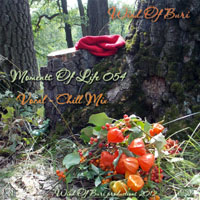 Wind Of Buri - Moments Of Life, Vol. 054: Vocal - Chill Mix (CD 2)