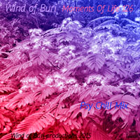Wind Of Buri - Moments Of Life, Vol. 126: Psy Chill Mix (CD 1)