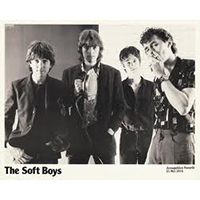 Soft Boys - Early Demos