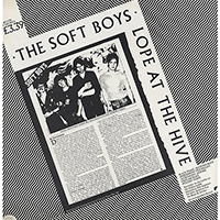 Soft Boys - Lope at The Hive