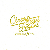 Clear Soul Forces - Gold PP7's