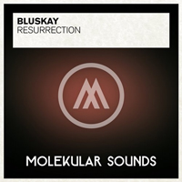BluSkay - Resurrection (Single)