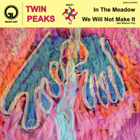 Twin Peaks - In The Meadow / We Will Not Make It (Not Without You)  (Single)