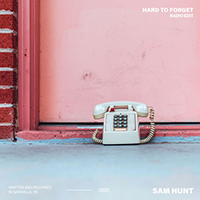 Hunt, Sam (USA) - Hard To Forget (Radio Edit Single)
