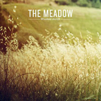 Windsor Airlift - The Meadow
