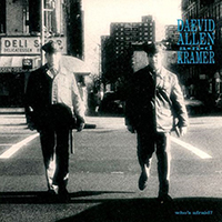 Daevid Allen - Who's Afraid? (feat. Kramer)