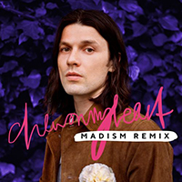 Bay, James - Chew On My Heart (Madism Remix Single)