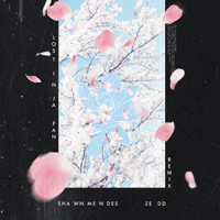 Mendes, Shawn - Lost In Japan (Zedd remix) (Single)