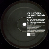 Voorn, Joris - The First Sound