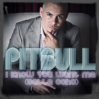 Pitbull (USA) - Calle Ocho (I Know You Want Me)