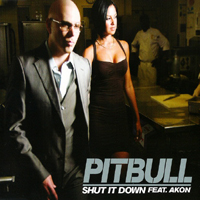 Pitbull (USA) - Shut It Down (Singe)