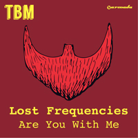 Lost Frequencies - Are You With Me (Single)