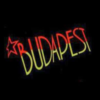 Babyshambles - Live In Budapest