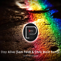 Feldt, Sam - Stay Alive (Sam Feldt & Chris Meid Remix) [Single]