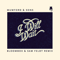 Feldt, Sam - I Will Wait (Bloombox & Sam Feldt Remix) [Single]