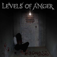 Levels Of Anger - Madness