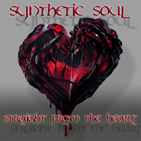 Synthetic Soul (USA) - Straight From The Heart