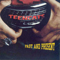 Teencats - Past And Present (LP)