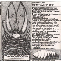 Omit - Transmogrification