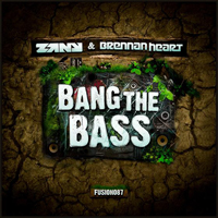 DJ Zany - Bang The Bass (Split)