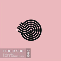 Liquid Soul - Perfect Day (Freak & Octagon Remix) [Single]
