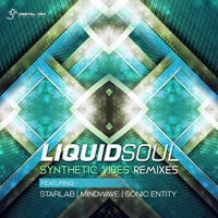 Liquid Soul - Synthetic Vibes (Remixes) [EP]