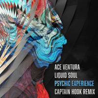 Liquid Soul - Psychic Experience (Captain Hook Remix) [Single]