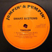 Smart Systems - Tingler