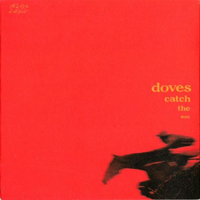 Doves - Catch The Sun (Single)