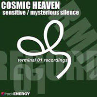Cosmic heaven - Sensitive / Mysterious silence (Single)