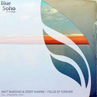 Matt Bukovski - Matt Bukovski & Geert Huinink - Fields of forever (Single) 