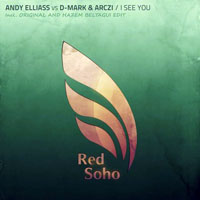 Andy Elliass - Andy Elliass vs. D-Mark & ARCZI - I see you (Single)