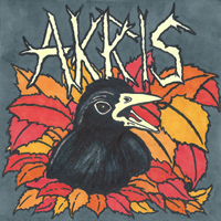Akris - Fall