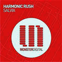 Harmonic rush - Salvia (Single)