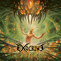 Exocrine - Ascension