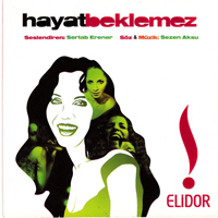 Sertab Erener - Hayat Beklemez (Single)