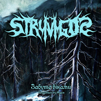 Stryvigor -  i