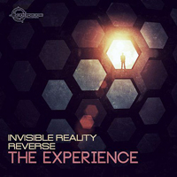Invisible Reality - The Experience [Single]