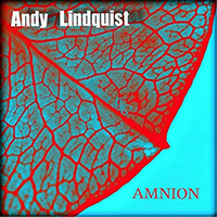 Lindquist, Andy - Amnion