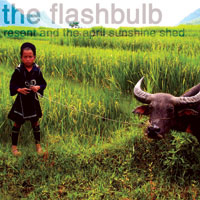 Flashbulb - Resent And The April Sunshine Shed
